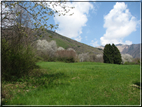 foto foto Paesaggi Collinari in Primavera